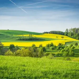 photo_print_19_300_new