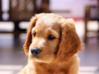 photo_print_28_300_new