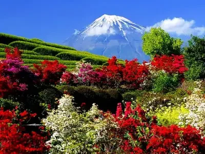 photo_print_39_300_new