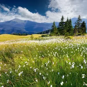 photo_print_3_300_new