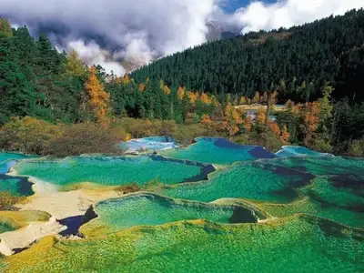 photo_print_60_300_new