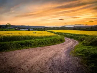 photo_print_62_300_new