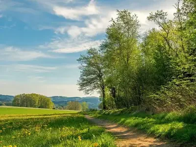 photo_print_78_300_new