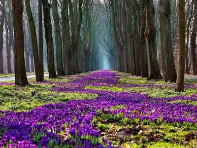 photo_print_80_300_new