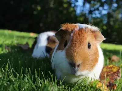 photo_print_82_300_new