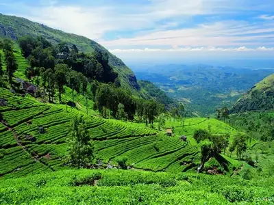 Шри-Ланка_02